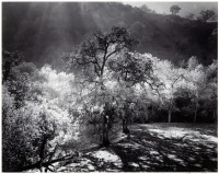 Priest Valley, Near Coalinga