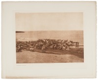 Reindeer - Nunivak