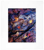Leaves and Cliff Abstraction #1