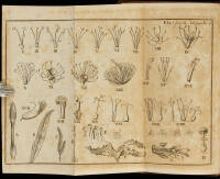 A Botanical Arrangement of all the Vegetables Naturally Growing in Great Britain