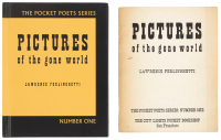 Pictures of the Gone World