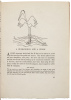 Fables of Aesop: According to Sir Roger L'Estrange - 6