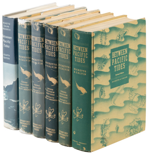 Between Pacific Tides - six variants