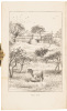 Orley Farm - 2