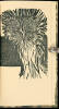 A Primer of Birds - 2