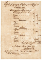 Manuscript list of patients at St. Isabel charity hospital in Matanzas, Cuba, during August 1862, divided according to race and color