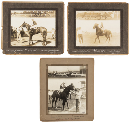 17 original photographs of race horses