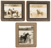 17 original photographs of race horses
