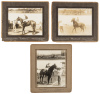 17 original photographs of race horses