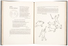 A Bestiary - 4