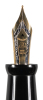 DELTA: Lugdunum Limited Edition Fountain Pen - 3