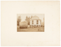 The House over a Stump of a Big Tree