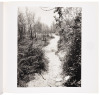 The Pond - 3