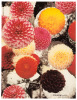 Visionaire 12: Desire, Fall 1994 - 3