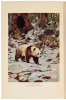 WITHDRAWN Trailing the Giant Panda - 3