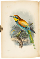 A Monograph of the Meropidae, or Family of the Bee Eaters