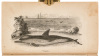 American Natural History - 2