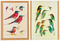 The Bee-Eaters [with] Eight original gouache paintings