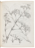 Botany of the Speke and Grant Expedition [as published in The Transactions of The Linnean Society of London] - 2