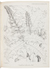 Botany of the Speke and Grant Expedition [as published in The Transactions of The Linnean Society of London] - 3