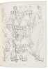 Botany of the Speke and Grant Expedition [as published in The Transactions of The Linnean Society of London] - 4