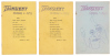 Three issues of Transient