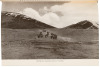 Penthouse of the Gods: A Pilgrimage into the Heart of Tibet and the Sacred City of Lhasa - 2