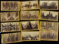 Collection of 25 stereo view photographs of Yosemite Valley and the Big Trees