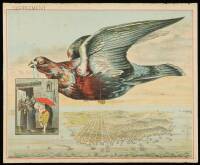 Color lithographed bird's-eye view of San Francisco, with a large pigeon flying over the city