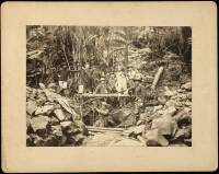 Albumen photograph of a man being lowered into a mine shaft or cave entrance in the middle of a tropical forest, other men standing by