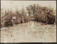 Kapiolani Park, Honolulu, H.I.