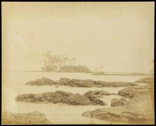 Albumen photograph of Coconut Island, Hilo