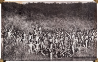 Public Gathering of Nudes in California