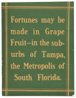 Fortunes may be made in Grapefruit, in the suburbs of Tampa, the metropolis of south Florida.