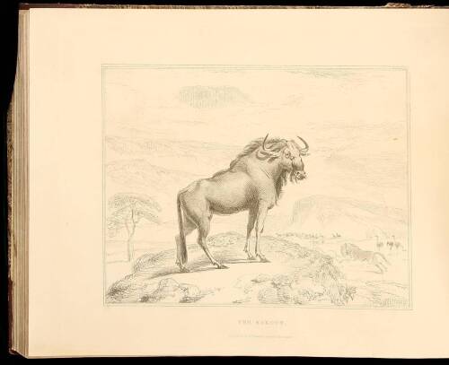 Sketches Representing the Native Tribes, Animals, and Scenery of Southern Africa...Engraved by William Daniell