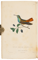 Histoire Naturelle des Oiseaux-Mouches...