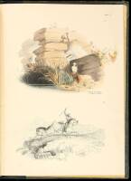 South African Sketches: Illustrative of the Wild Life of a Hunter on the Frontier of the Cape Colony
