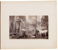 Album of twenty photographs of a hunting and fishing trip near Mount Lassen in the late 19th century