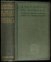 A Naturalist in Borneo