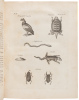 The History of Mexico. Collected from Spanish and Mexican Historians, from Manuscripts, and Ancient Paintings of the Indians... - 2