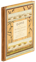 Quacks: The Story of the Ugly Duckling After Hans Christian Anderson