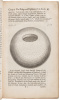 The Theory of the Earth - Books I and II - 4