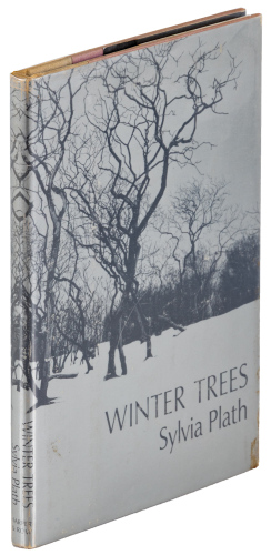 Winter Trees