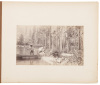 Album of twenty photographs of a hunting and fishing trip near Mount Lassen in the late 19th century - 8