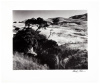 The Wilder Shore - 2