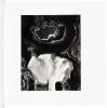 Masterworks from Forty Years - 4