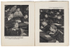 Soixante Photographies d'Enfants - 3
