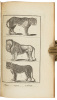 A Collection of Voyages Round the World: Performed by Royal Authority. Containing a complete Historical Account of Captain Cook's First, Second, Third and Last Voyages,... - 4