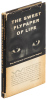 The Sweet Flypaper of Life