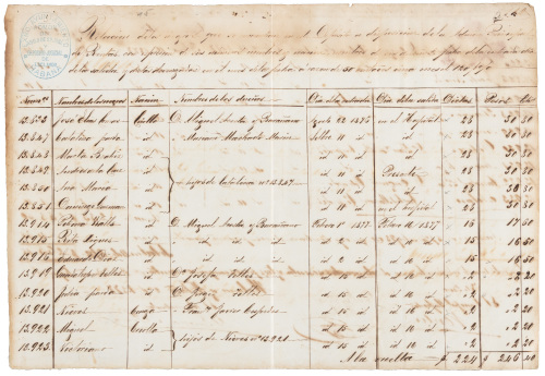 Chart of twenty-four African slaves from the Havana Judicial Slave Depository